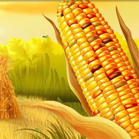 Free online html5 games - HOG Hidden Corn Grasshopper