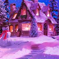 Free online flash games - HOG Night Christmas Hidden Snowman game - Games2Dress 